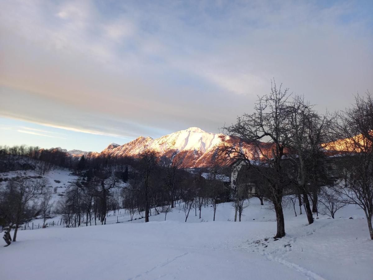 Apartmaji Ursic Kobarid Buitenkant foto